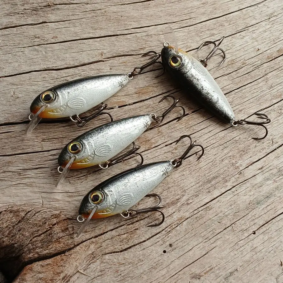 Dzierzba #4 - obrazek 4