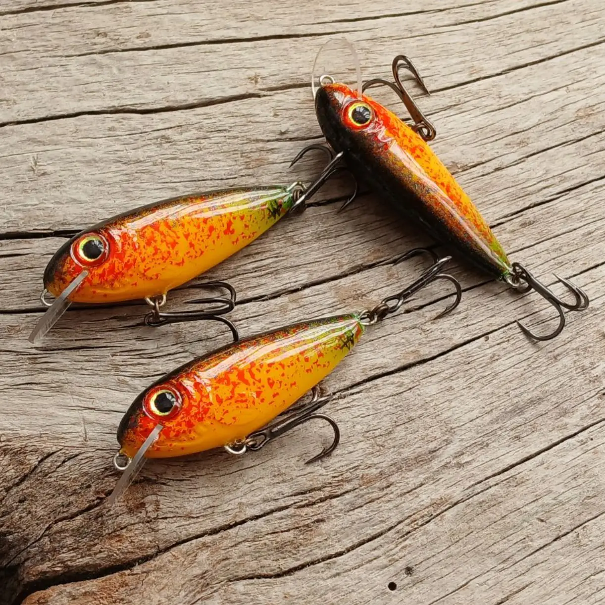 Dzierzba #4 - obrazek 6