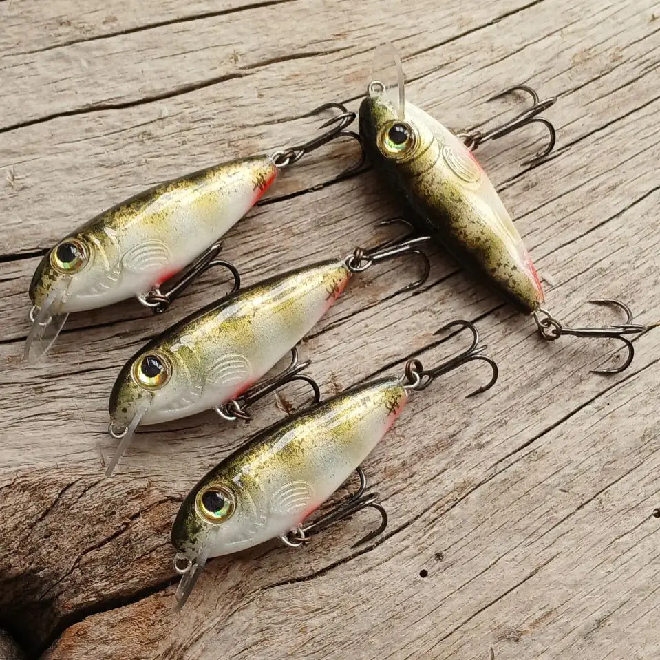 Dzierzba #4 - obrazek 2