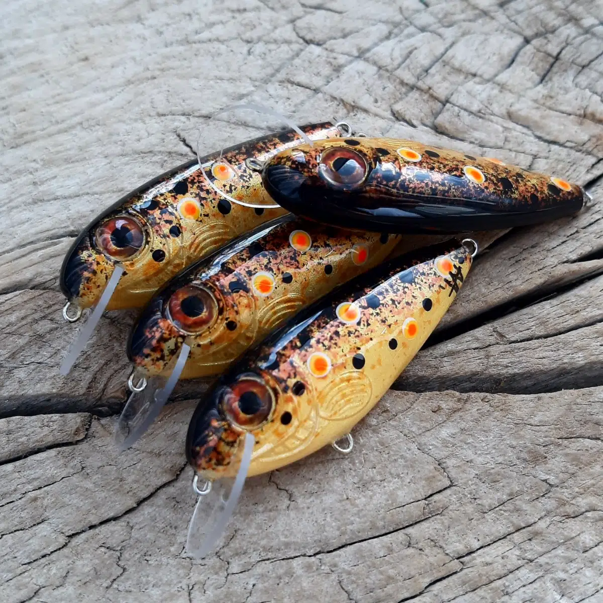 Dzierzba #4 - obrazek 3